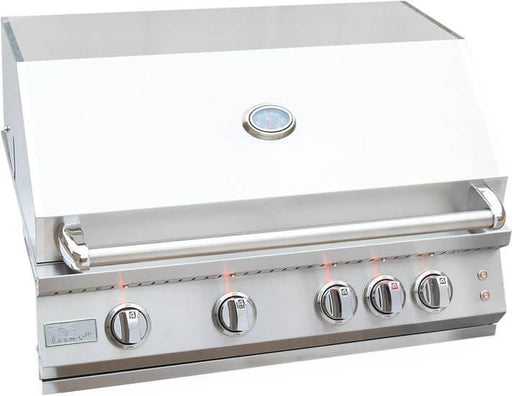 Kokomo 32” Professional Built in Gas Grill (4 Burner/Back Burner) - The Pizza Oven Guru