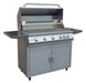 Professional 5 Burner 40 Inch Cart Model BBQ Grill With Lights & Locking Casters - The Pizza Oven Guru